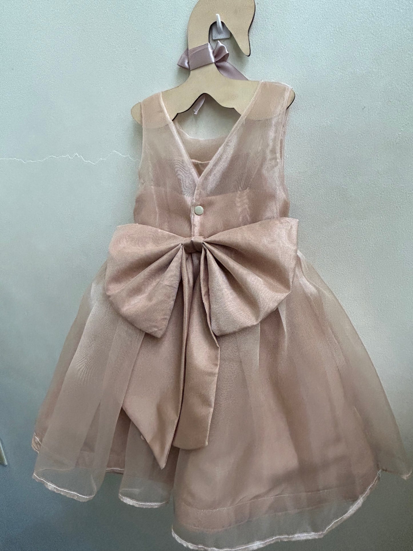 Jenny Organza Dress in Mocha