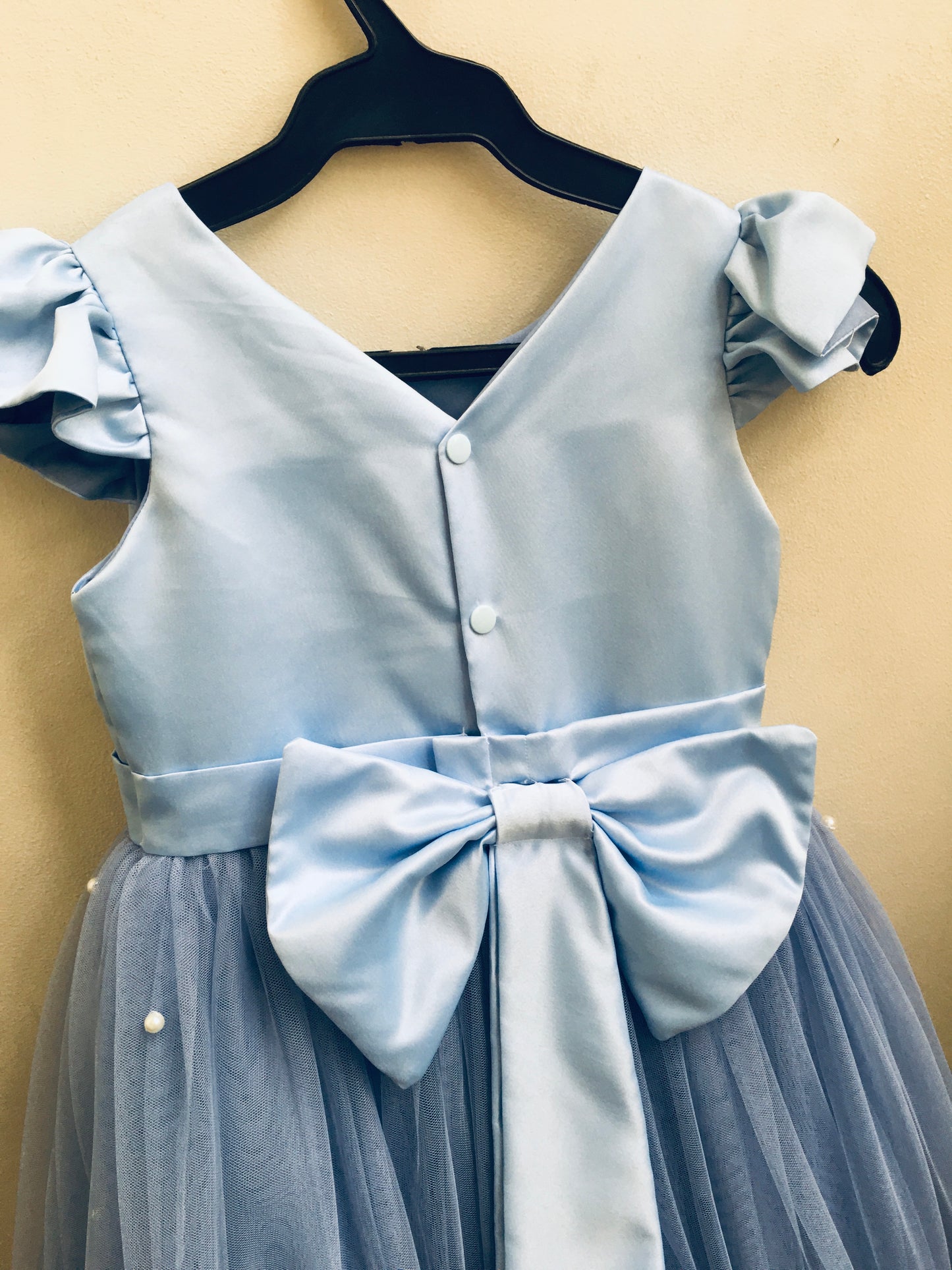 Frances Dress in Powder Blue with Pearls (Modified)