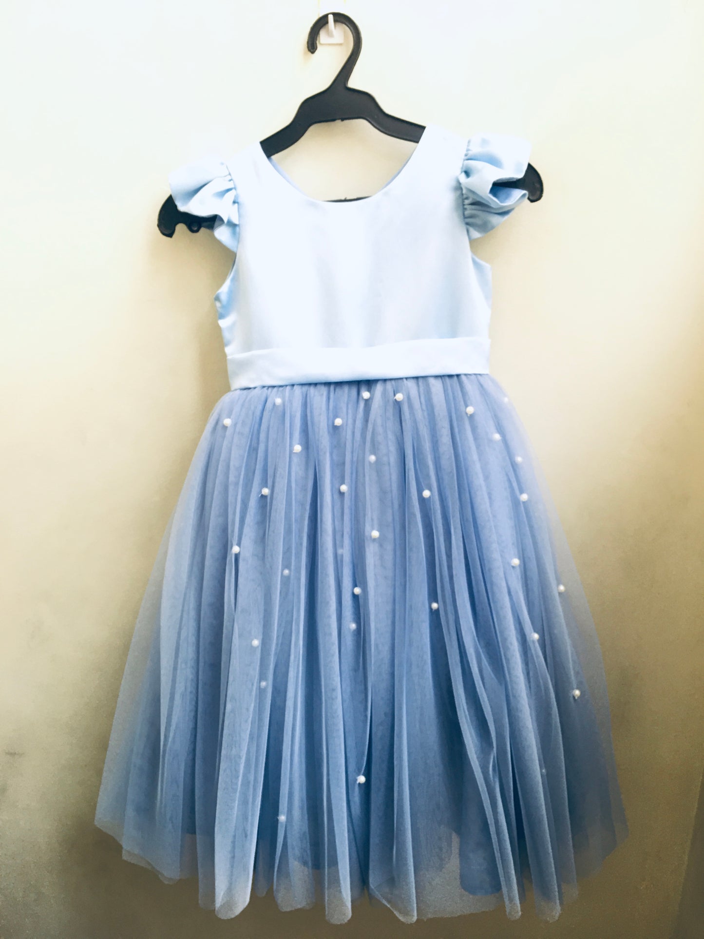 Frances Dress in Powder Blue with Pearls (Modified)