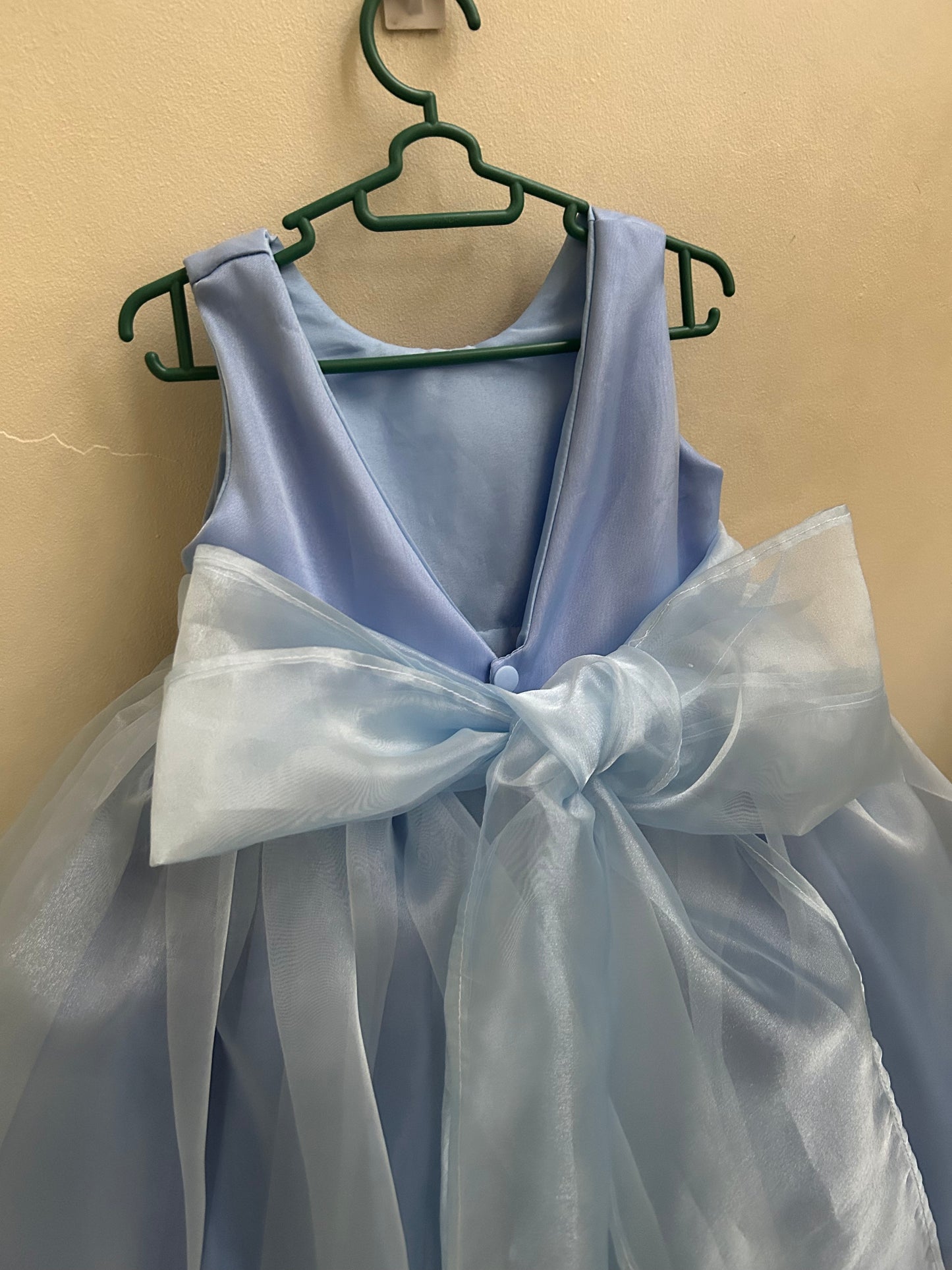 Jenny Organza Dress in Light Blue