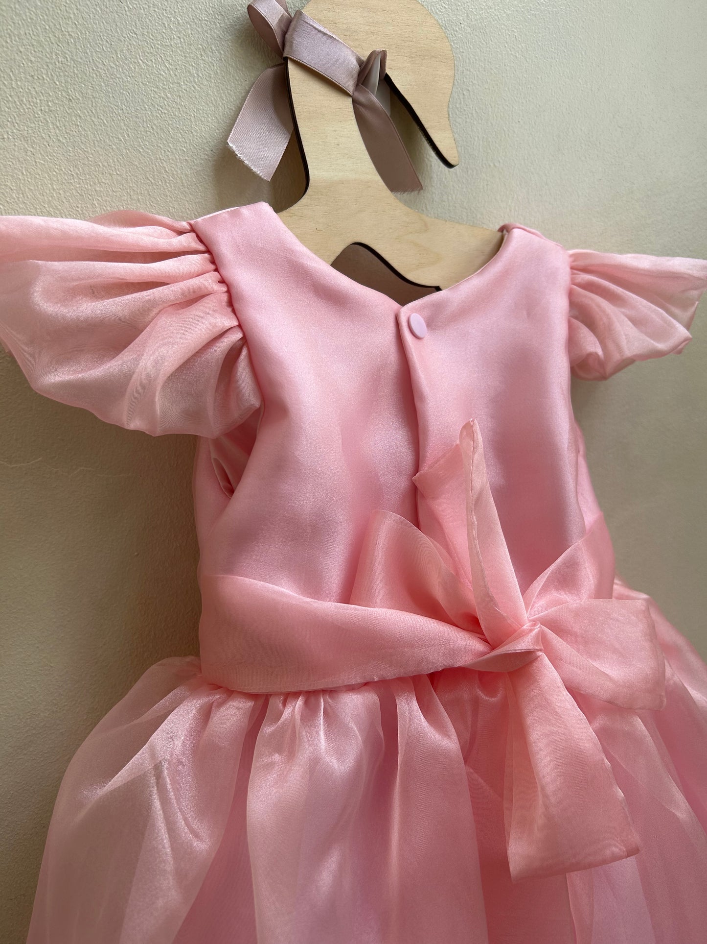 Cassy Organza Dress in Blush Pink