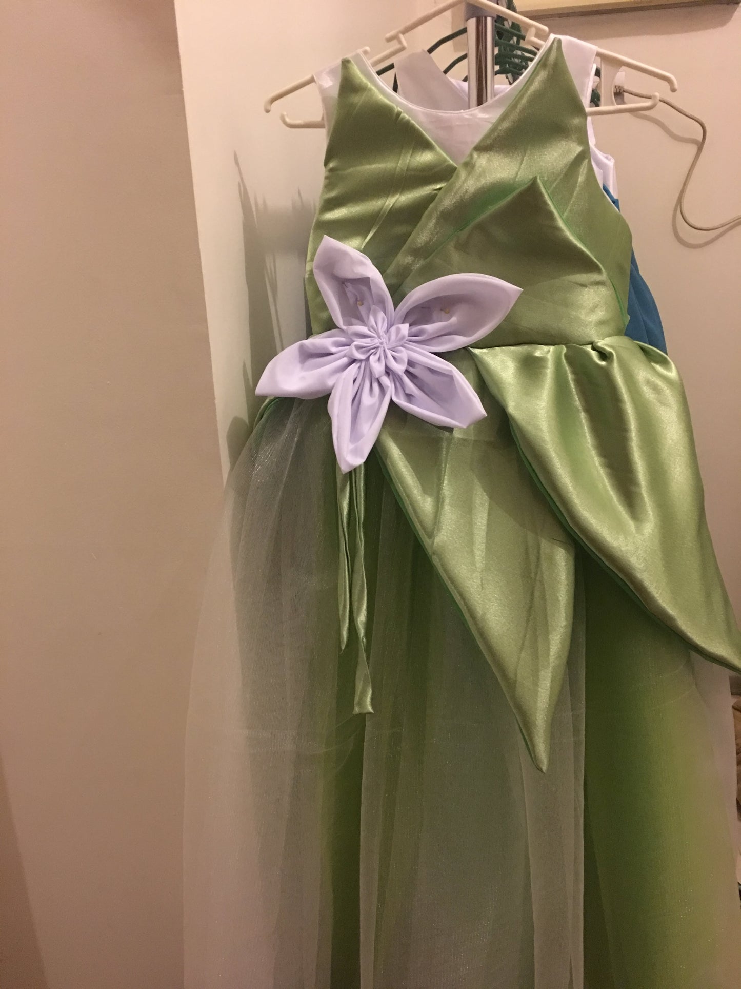 Tiara Inspired Dress