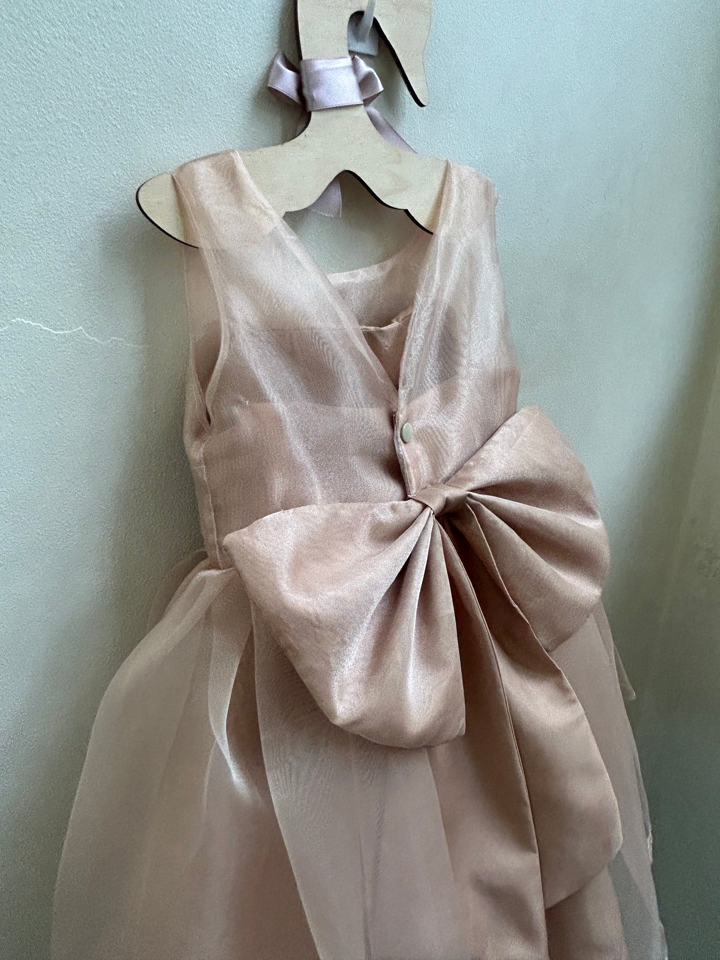 Jenny Organza Dress in Mocha