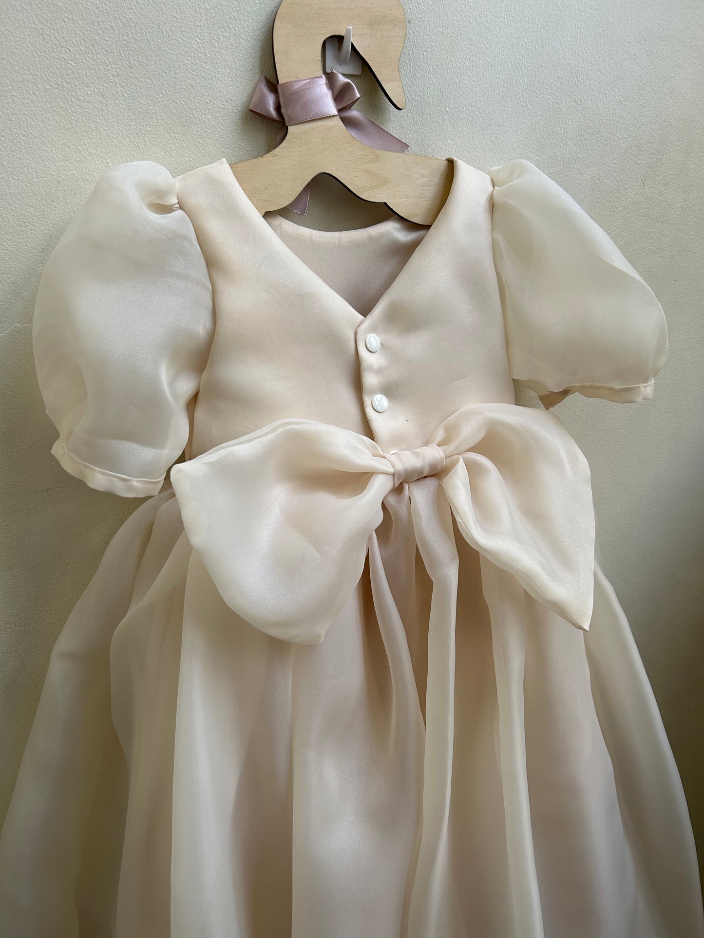 Ysabel Organza Dress in Beige