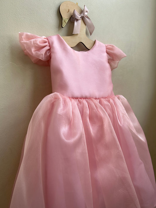 Cassy Organza Dress in Blush Pink