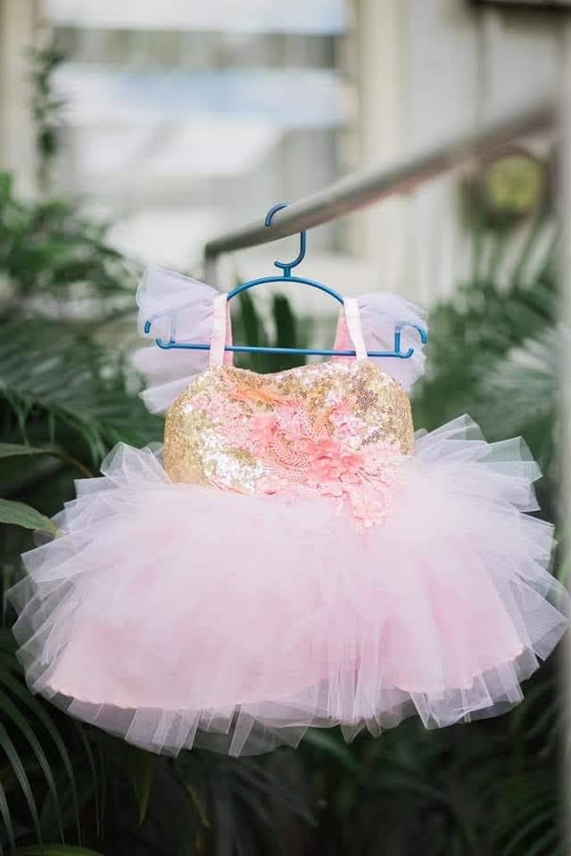 Ballerina Dress in Gold and Light Pink